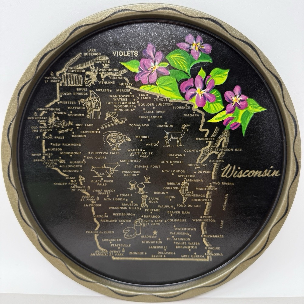 Vintage Wisconsin State Tray MCM Kitschy Barware Graphic Souvenir Decor Platter